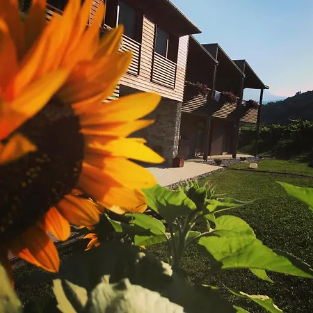 Farm stay Agritur Verderame Trento