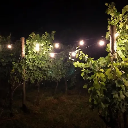 Farm stay Agritur Verderame *