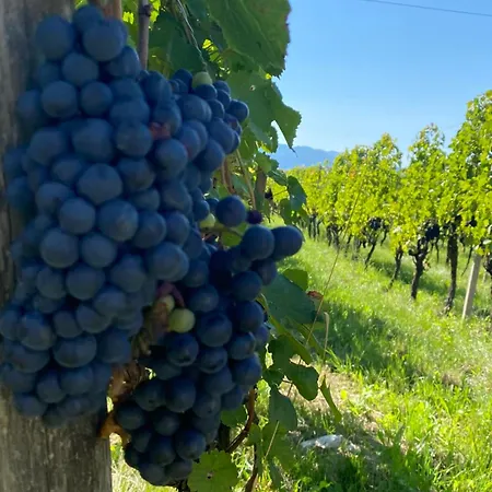 Agritur Verderame Farm stay