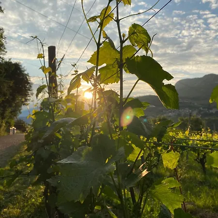 Agritur Verderame Farm stay *