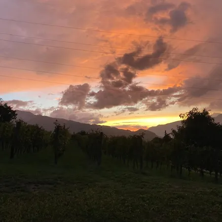 Farm stay Agritur Verderame *